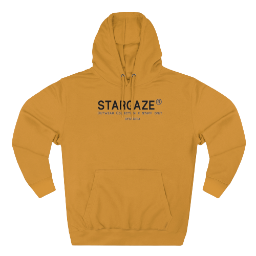 STARGAZE BRANDED HOODIE