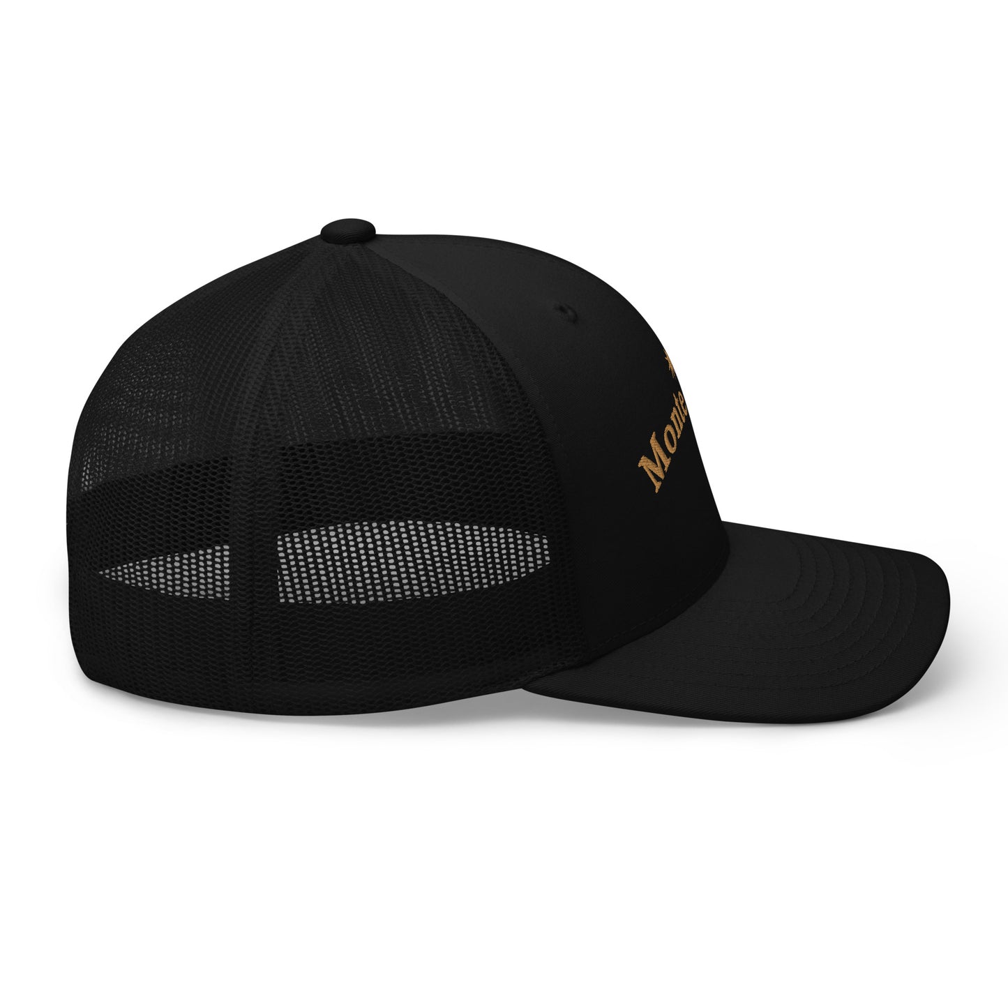 STARGAZE MONTE CARLO EMBROIDERED BLACK CAP