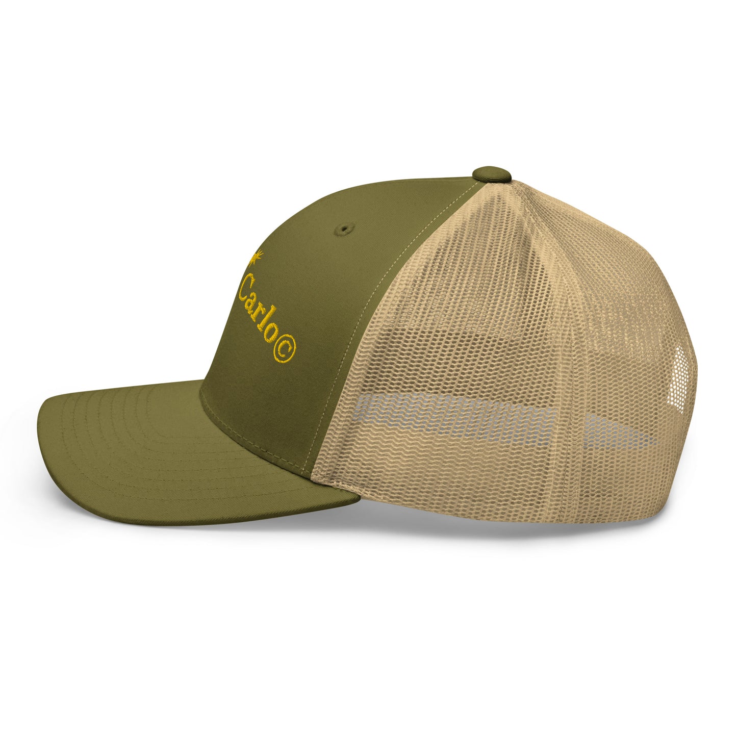 STARGAZE MONTE CARLO EMBROIDERED MOSS CAP