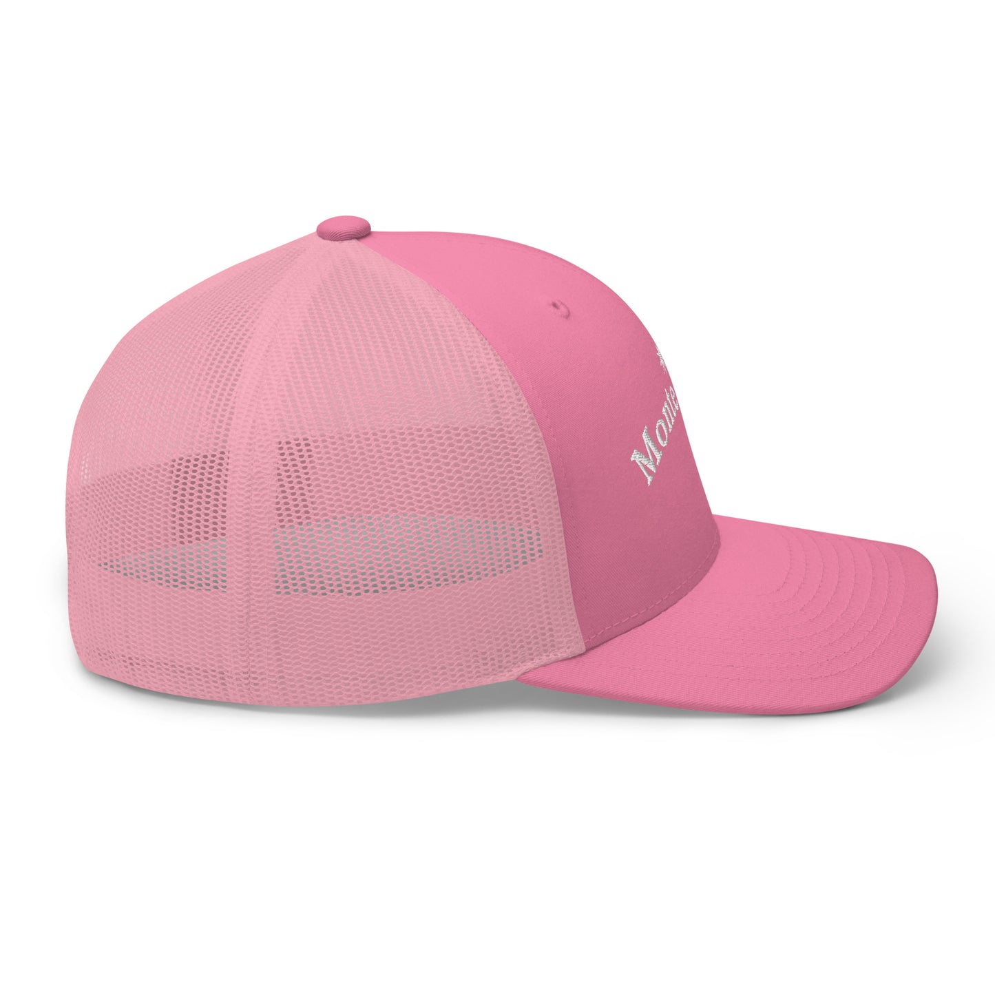 STARGAZE MONTE CARLO EMBROIDERED PINK CAP