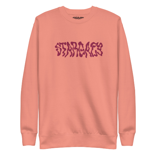 STARGAZE EMBROIDERED SWEATSHIRT (FLAMINGO)