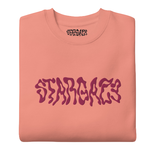 STARGAZE EMBROIDERED SWEATSHIRT (FLAMINGO)